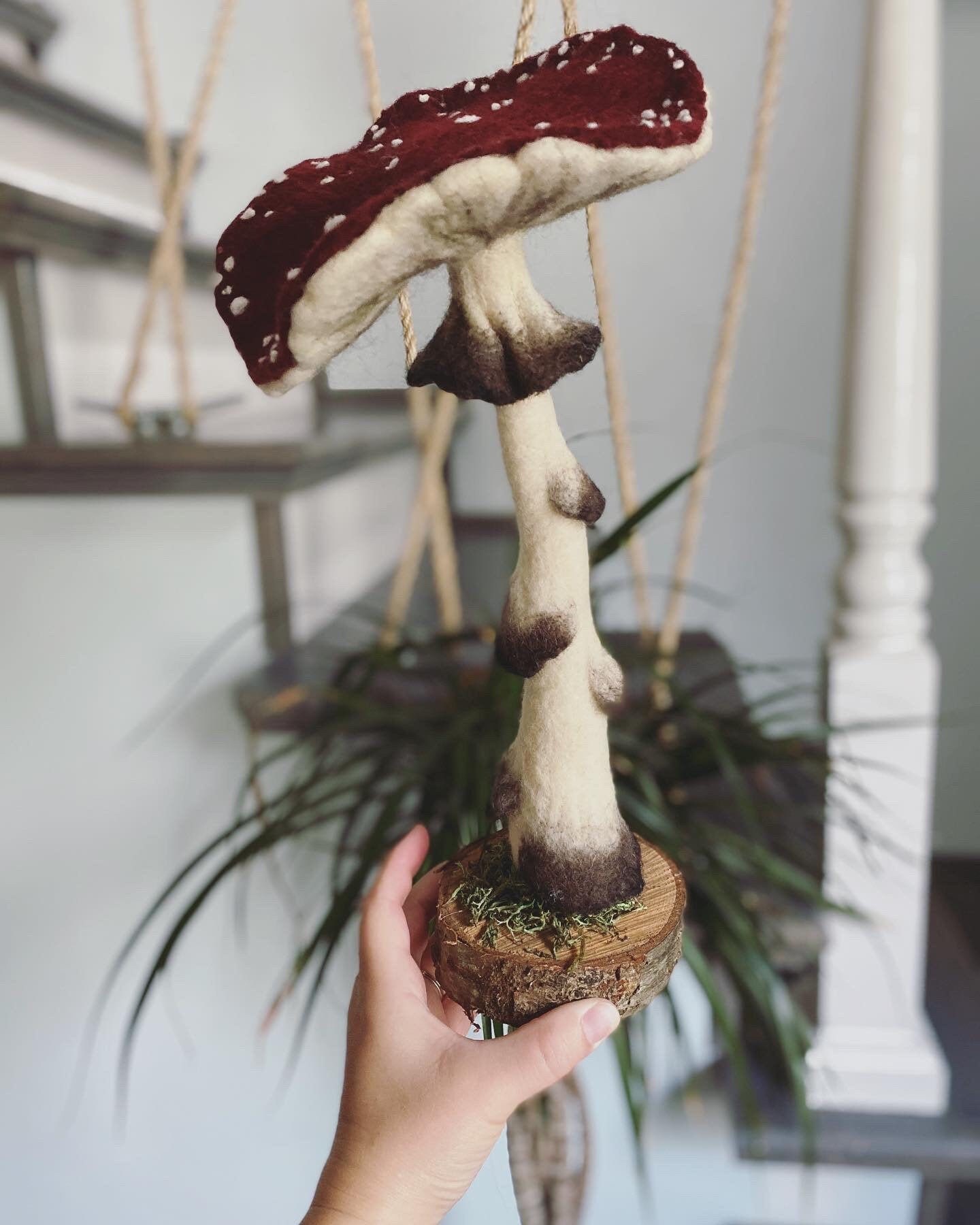 Needle Felted Mushroom Etsy