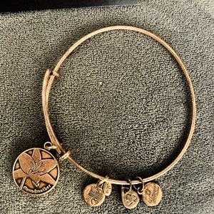 Alex and Ani Raphaelian Gold Grandmother Bangle con caja y tarjeta originales