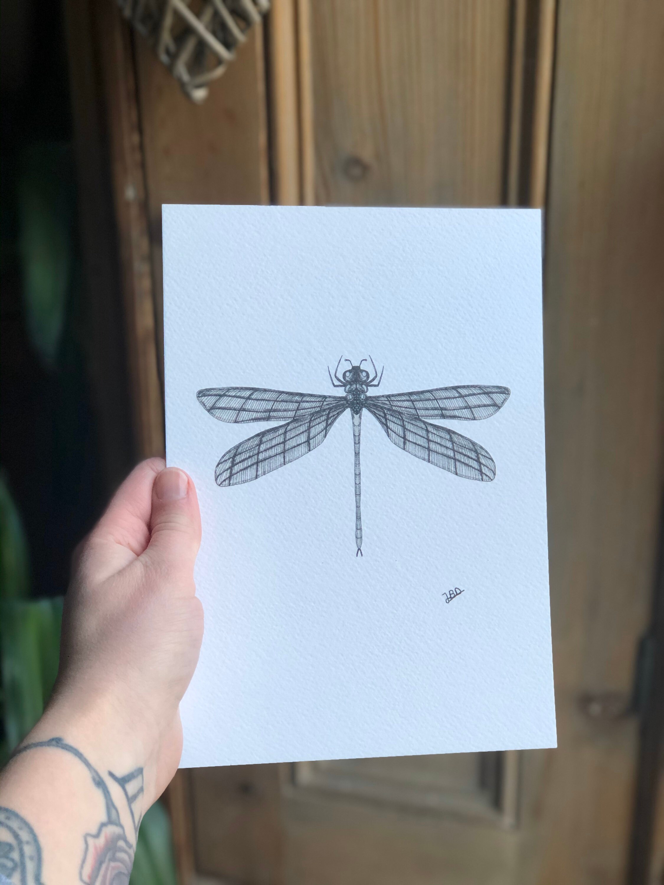 Dragonfly Print Hand drawn dragonfly picture Fine line | Etsy