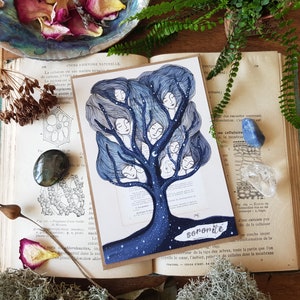 carte postale arbre de vie, sororité