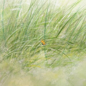 May include: A small, orange crown is hidden in a field of tall, green grass. The grass is painted with a light, airy brushstroke, giving the image a soft, dreamy feel.