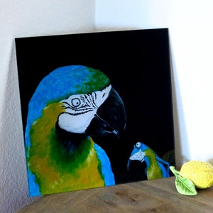 Arafrosch, print behind acrylic glass, blue ara, picture with parrot, picture living room, frog picture, frog, bird picture, funny image image 1