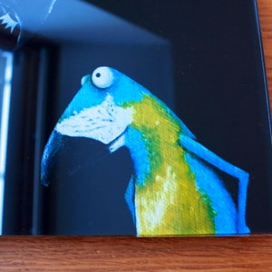 Arafrosch, print behind acrylic glass, blue ara, picture with parrot, picture living room, frog picture, frog, bird picture, funny image image 3