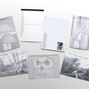 Kunztpostkarten in 7-set, seven postcards, postcards, postcard, postcards, frog, frog, deer, owl, fly mushroom image 2