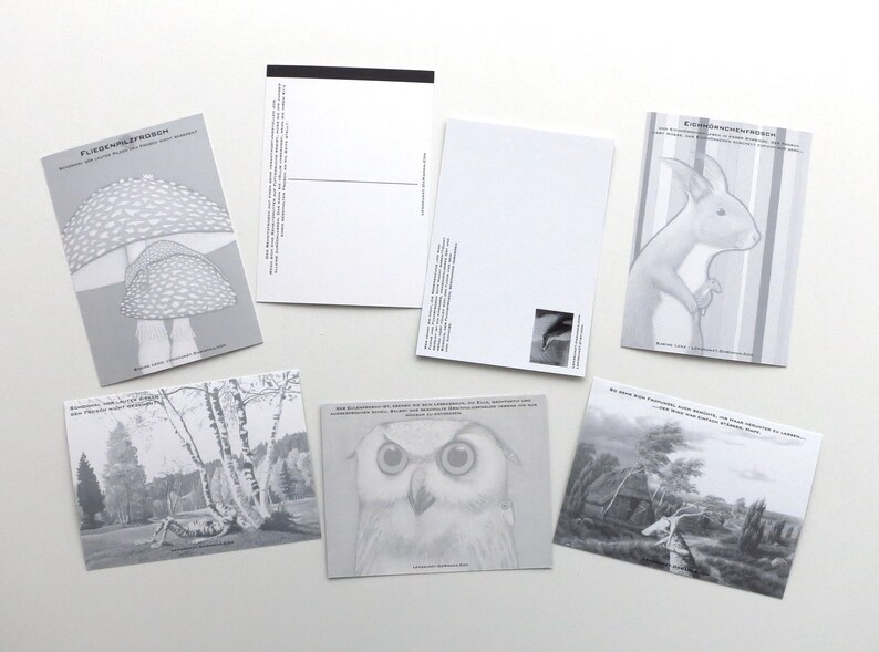 Kunztpostkarten in 7-set, seven postcards, postcards, postcard, postcards, frog, frog, deer, owl, fly mushroom image 2