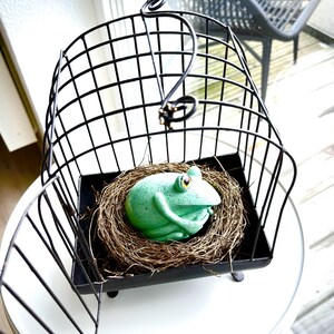 Peut inclure: Une cage à oiseaux décorative en métal noir avec une base carrée, abritant un nid de brindilles. À l'intérieur du nid se trouve une figurine de grenouille vert clair avec des yeux jaunes. La cage est sur une surface blanche.