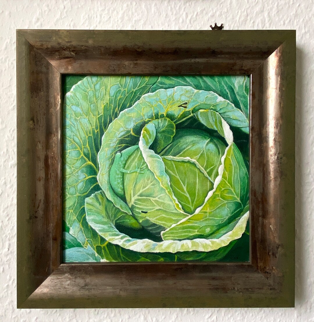The Cabbage Frog, Cabbage, White Cabbage, Still Life, Frog Picture ...