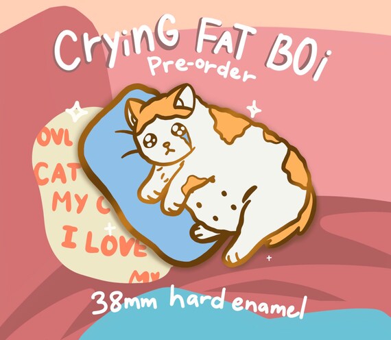 Funny Crying Fat Cat Meme Hard Enamel Pin Etsy