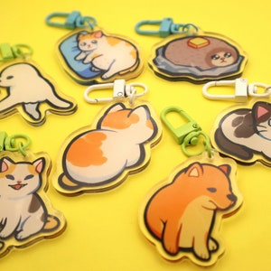 Lustige Katze Tier Meme Acryl Charms Volume 1