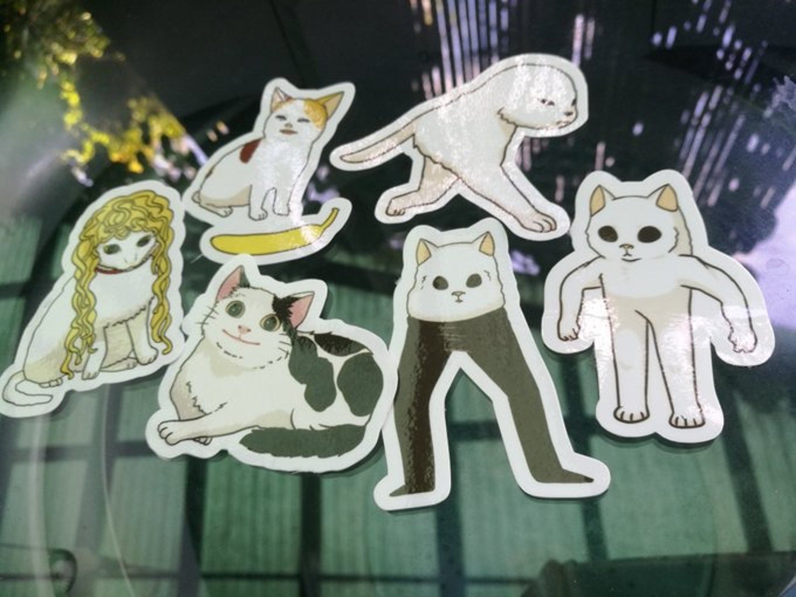 Choose Your Fighter Cat Meme Vinyl Stickers Set Etsy