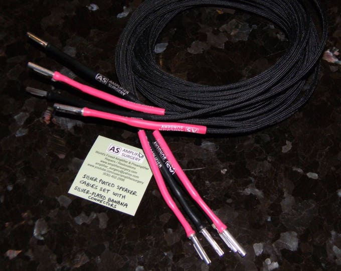 Amplifier Surgery 14 AWG Audiophile Silver Plated Speaker Etsy
