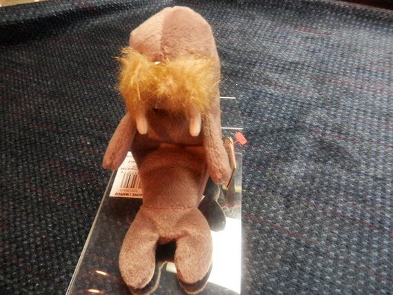 jolly the walrus beanie baby