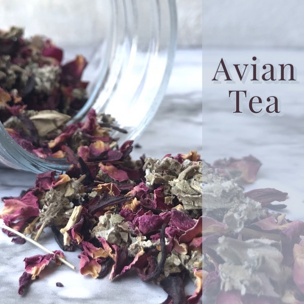 Avian Tea | Rose, Red Raspberry Leaf, Hibiscus Flower Tea for Birds | Whatcha Brewin'? | Rosy Reboot | Caffeine-Free | Preservative-Free