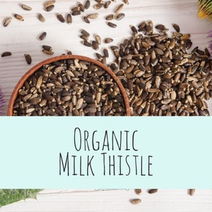 Organic Milk Thistle BIRBS: Herbs for Birds and other pets Herbal Pet Apothecary Ingredients 1oz packet image 1