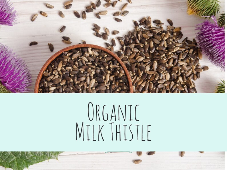 Organic Milk Thistle BIRBS: Herbs for Birds and other pets Herbal Pet Apothecary Ingredients 1oz packet image 1