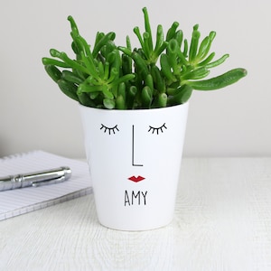 May include: White ceramic planter with a stylised face design. The face has closed eyes, a straight nose, and red lips. The name "AMY" is written below the lips. A green succulent plant is growing in the planter.