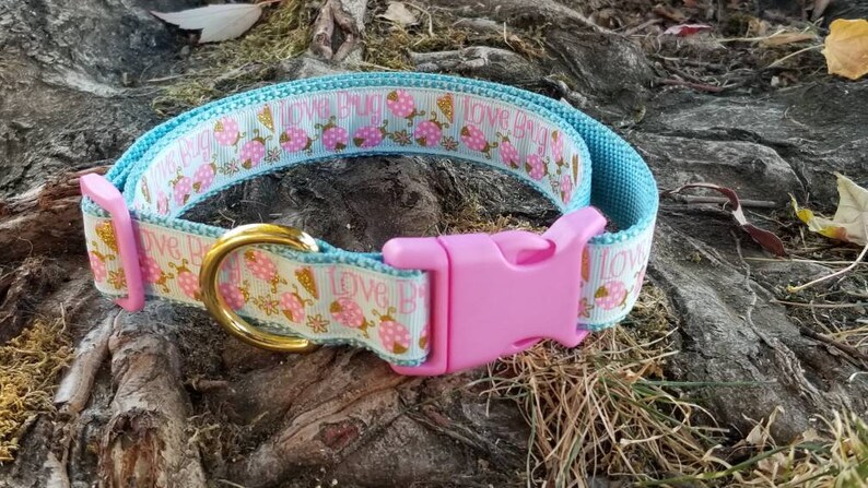 cute puppy collars and leashes