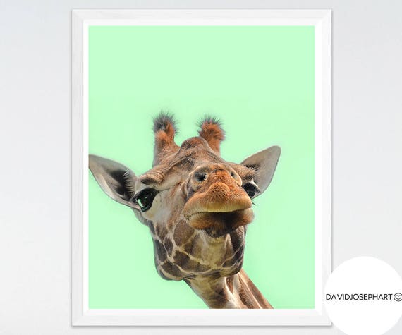 giraffe print nursery