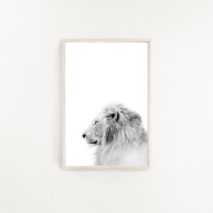 Lion Print Lion Mane Print Lion Wall Art Lion Photo King of The Jungle Print Lion Decor Lion Poster Lion Photography Lion Portrait