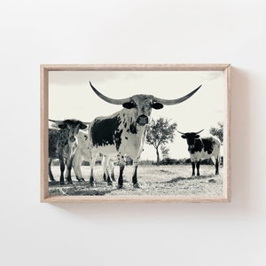Longhorn Cow Print, Texas Wall Art, Black and White, Digital Download, Farm Poster, Longhorn Picture