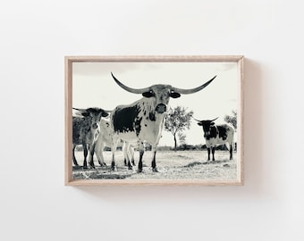 Longhorn Cow Print, Texas Farmhouse Wall Art (Digital Download)