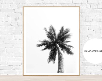 Palm Print, Modern Print, Black and White, Botanical Print, Beach Print, Plant Print, Palm Wall Art, Palm Decor, Palm Trees, Palm Leaf Print