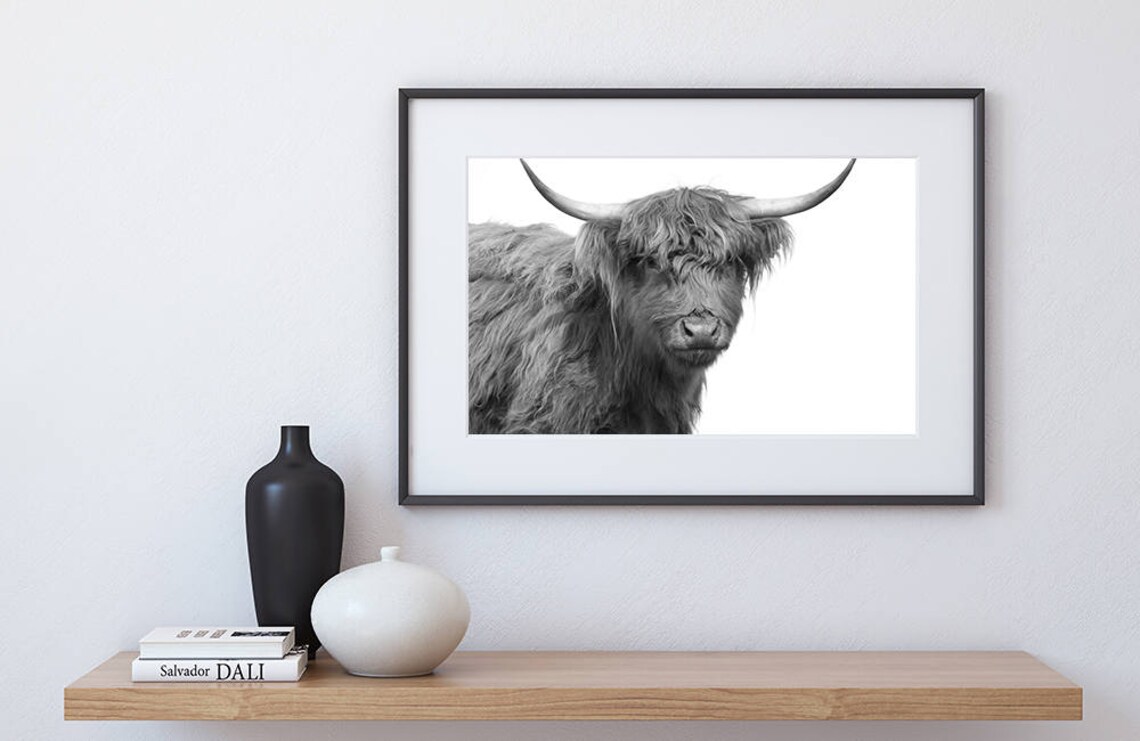Highland Cow Print, Highland Bull Print, Farm Animal Print, Cow — free download