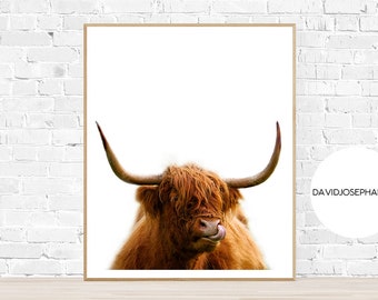 Highland Cow Print, Farm Animal Wall Art, Scottish Cow Print, Nursery Print, Cow Photography, Cattle Print, Digital Download, Cow Decor