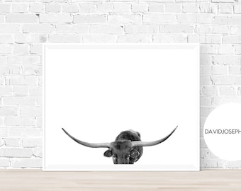 Longhorn Print, Cow Print, Texas Cow Print, Animal Print, Modern Minimalist, Digital Download, Landscape Print, Animal Photo, Cow Poster