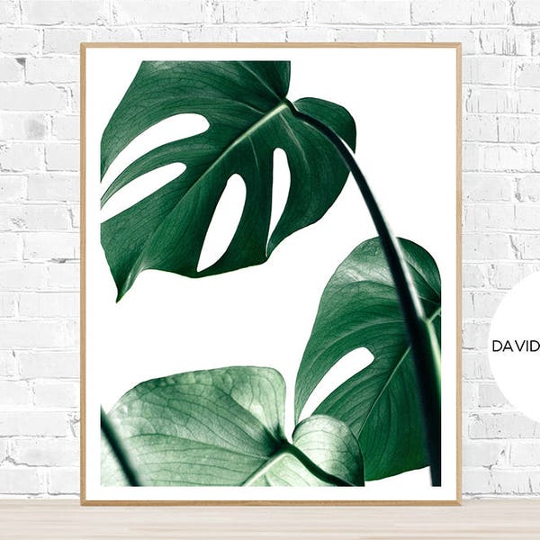 Monstera Print, Botanical Wall Art, Succulent Decor, Plant Photography, Digital Download, Minimalist Print, Scandinavian Print, Leaves Print