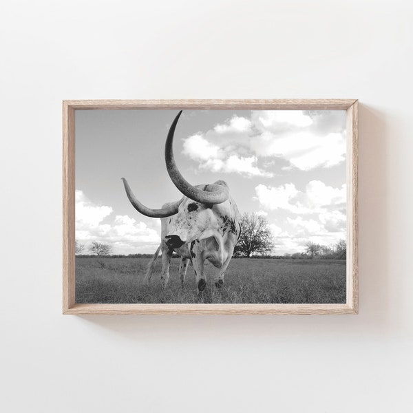 Longhorn Cow Print, Texas Poster, Texas Longhorn Cow Poster, Digital Download, Black and White