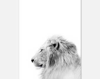 Lion Print Lion Mane Print Lion Wall Art Lion Photo King of The Jungle Print Lion Decor Lion Poster Lion Photography Lion Portrait
