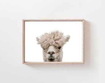 Alpaca Photo Print, Boho Nursery Decor (Digital Download)