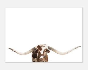 Longhorn Cow Print, Texas Farm Animal Photography (UNFRAMED)
