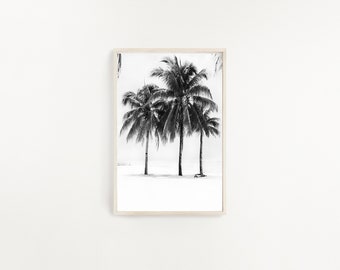 Palm Tree Print, Black and White, Fan Palm, Palm Tree Art, Tropical Print, Top Selling, Palm Poster, Palm Tree Photo, Black And White Palm