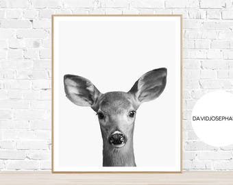 Impressão de veado, impressão de bosques, arte de parede de berçário, decoração de corça, preto e branco, download digital, fotografia de animais, pôster de veado, arte de parede de veado