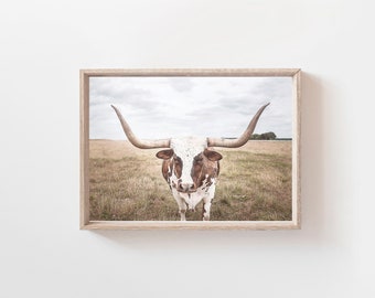 Longhorn Print, Cow Print, Texas Cow Print, Animal Print, Modern Minimalist, Digital Download, Landscape Print, Animal Photo, Cow Poster