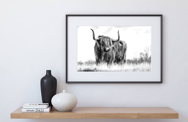 Highland Cow Print Farm Animal Wall Art Black and White Etsy