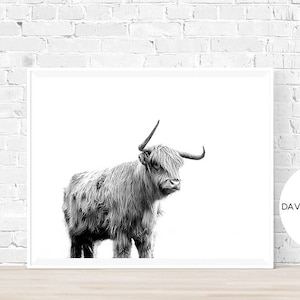 Highland Cow Print, Scottish Cow Print, Highland Cow Poster, Animal Photography, Black And White, Digital Download, Minimalist Print