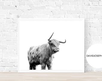 Highland Cow Print, Scottish Cow Print, Highland Cow Poster, Animal Photography, Black And White, Digital Download, Minimalist Print
