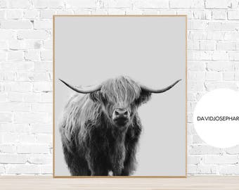 Highland Kuh Druck, Bauernhof Tier Wandkunst, schwarz und weiß, digitaler Download, Instant Download, Home Decor
