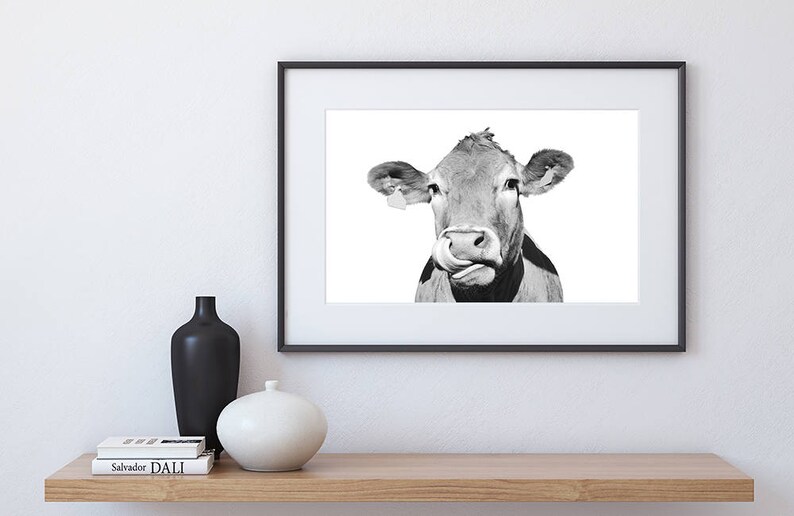 Cow Print Cow Wall Art Black and White Animal Photography Etsy