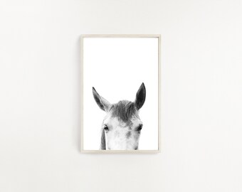 Horse Print Horse Photography White Horse Portrait Horse Wall Art Mare Print Horse Poster Horse Decor Digital Download Horse Head Print