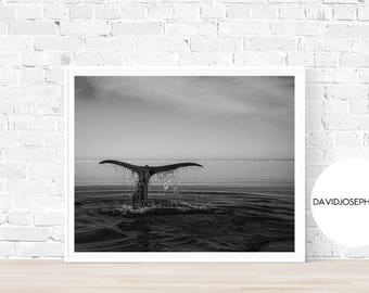Whale Print, Whale Fin Print, Ocean Print, Animal Print, Ocean Photography, Whale Photography, Black and White, Whale Wall Art, Whale Poster