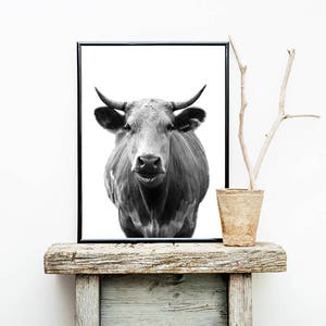 Cow Print, Cow Wall Art, Black and White, Animal Photography, Modern Print, Farm Animal Print, Minimalist Print, Digital Download