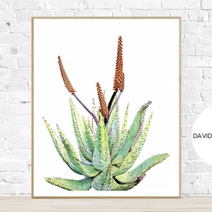 Saftig Druck, Aloe Vera, Boho Druck, Kaktus Druck, Pflanze Druck, Baum Druck, botanische Druck, Kaktus Poster, digitaler Download