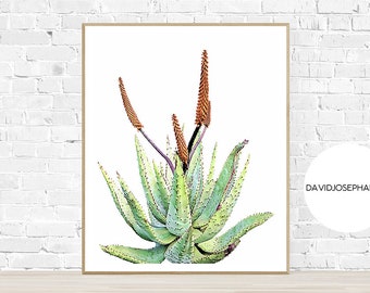 Saftig Druck, Aloe Vera, Boho Druck, Kaktus Druck, Pflanze Druck, Baum Druck, botanische Druck, Kaktus Poster, digitaler Download