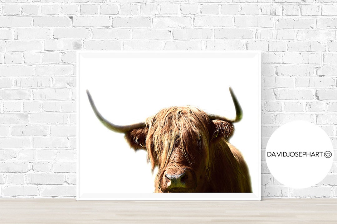 Highland Cow Print Farm Animal Print Highland Bull Print Etsy — free download
