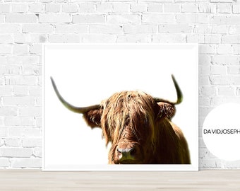 Highland Cow Print, Farm Animal Print, Highland Bull Print, Nursery Print, Cow Wall Art, Cattle Print, Digital Download, Cow Decor