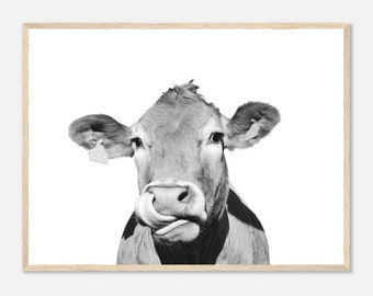 Funny Cow Portrait Framed Print - Farm Animal Wall Art